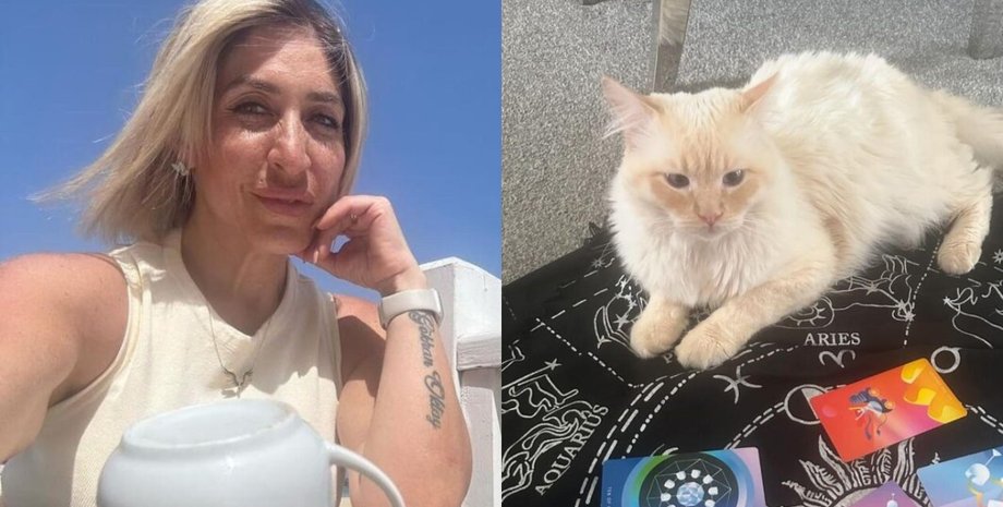 Экстрасенс с котом, кот-ясновидящий, предсказание на 2025 год, карты Таро, кот гадает по картам, чтение карт Таро, каким будет 2025 год