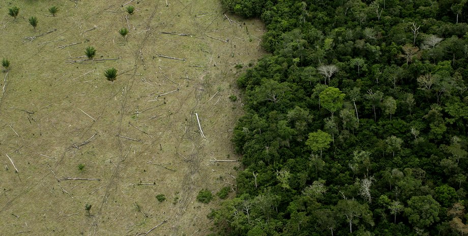 Фото: LeoFFreitas/Getty Images
