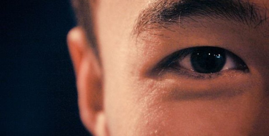 Иллюстрация: pixabay.com