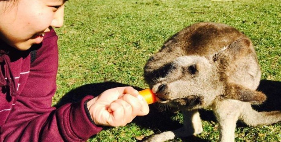 Фото: Tripadvisor