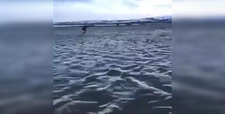 Камчатка РФ, РФ потом, РФ аэропорт потоп, РФ Качатка аэропорт, РФ последствия стихии, РФ потоп на Камчатке