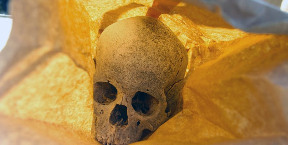 Фото: LiveScience