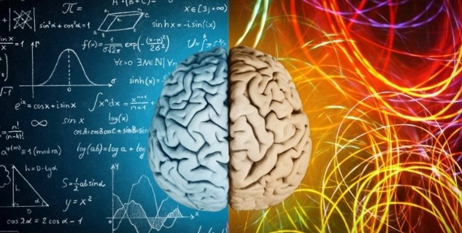 мозковий чип, мозок