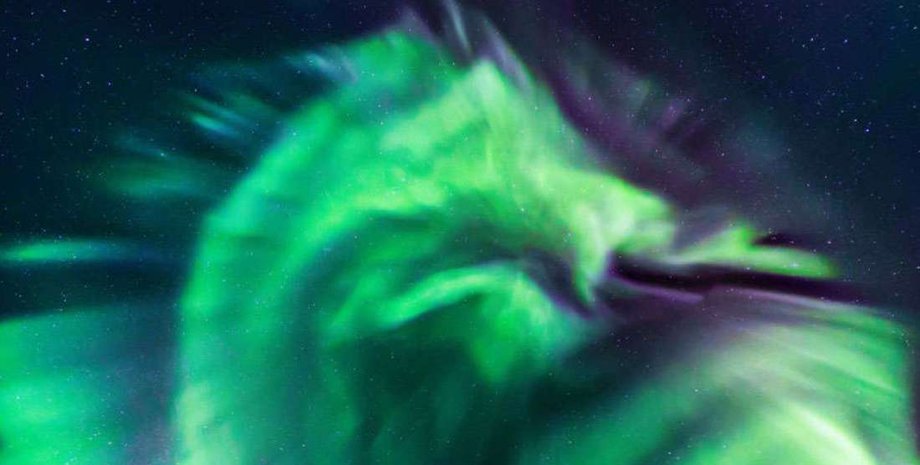 Jingyi Zhang, Wang Zheng