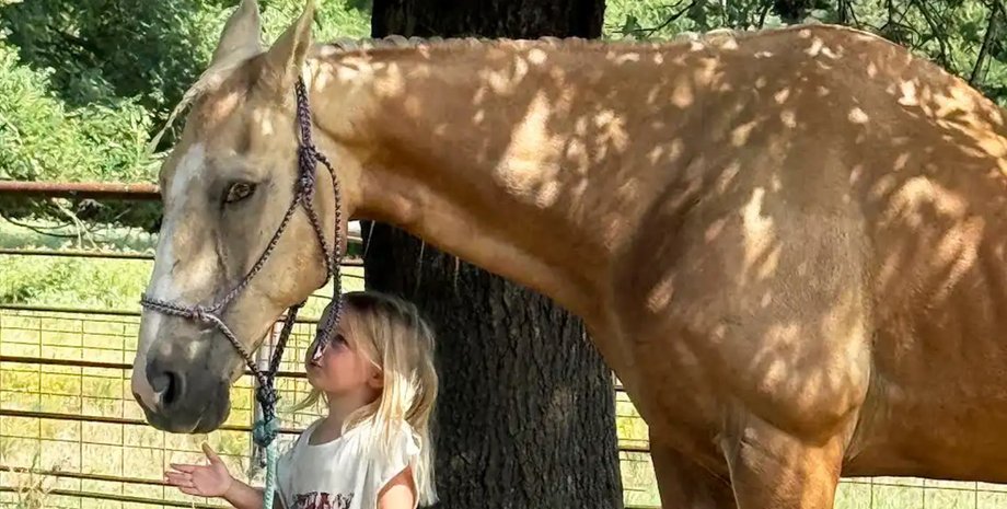 Четырехлетняя Кинли рядом с одной из лошадей, за которыми присматривает ее семья