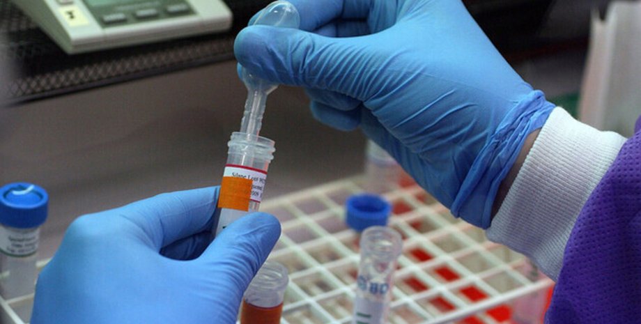 репродуктивные клетки