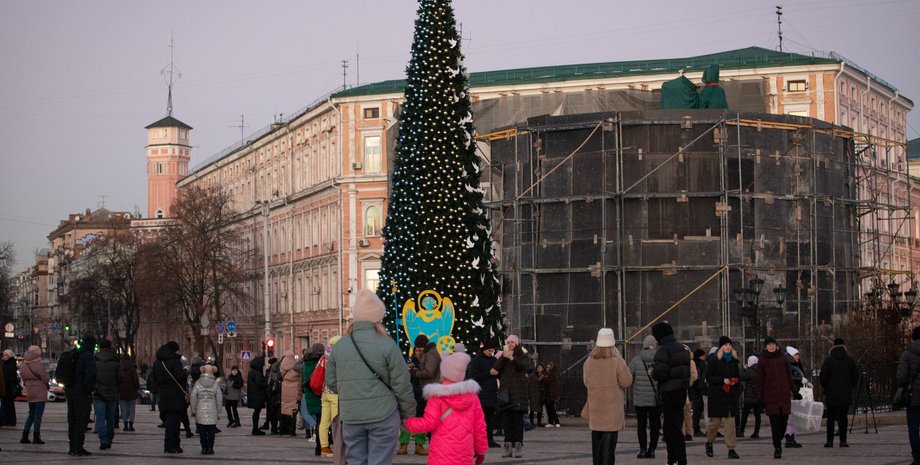елка, елка в Киеве, новогодняя елка, новогодняя елка