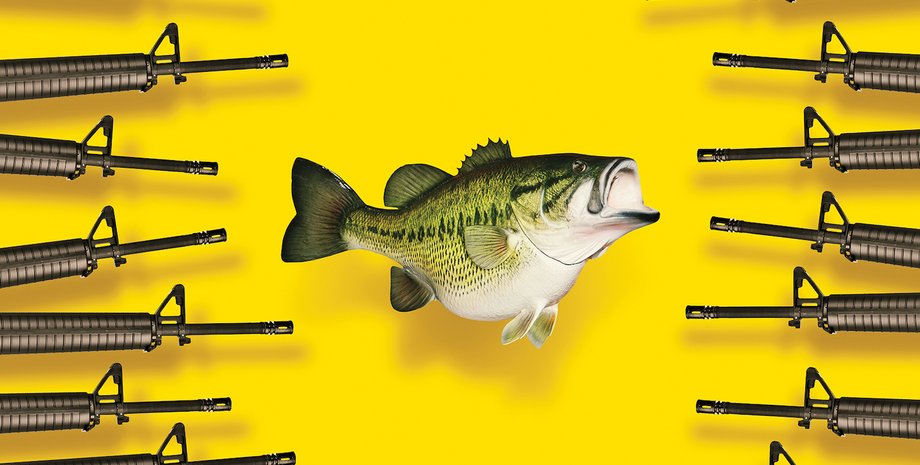 Фото: Foreign Policy, Quangpraha/Pixabay, Ghost Presenter, Tom Fisk, Min An / Pexels