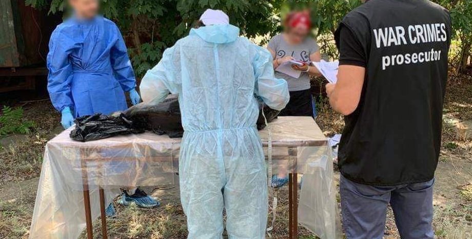 мертвый дельфин, экоцид, война в украине, вс рф