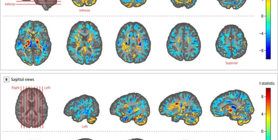 Фото: Jama/American Medical Association
