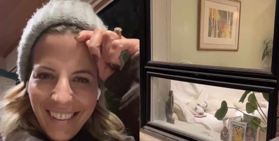 жінка пудель курйози Жінка заборонила пуделеві спати на дивані: далі сталося те, чого ніхто не міг передбачити