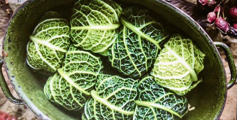 Голубці із савойської капусти Голубці із савойської капусти, голубці рецепт, савойська капуста, савойська капуста, савойська капуста рецепт