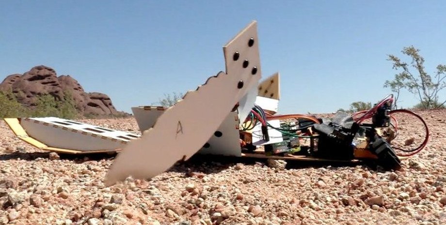 Фото: popmech.ru