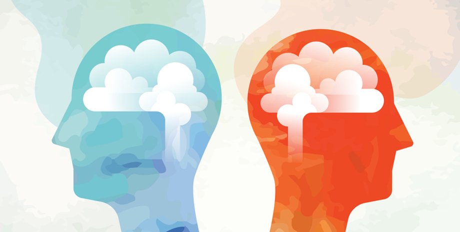 Человеческий мозг