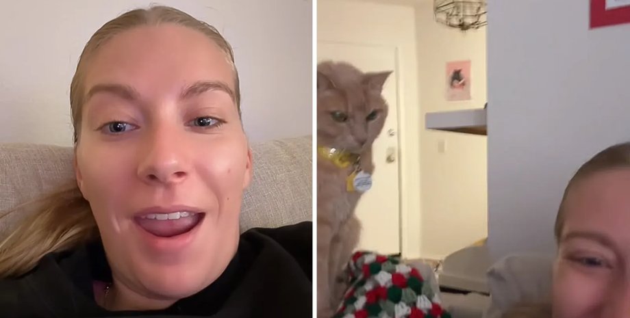 Жінка позбавила кота їжі на деякий час кіт жінка