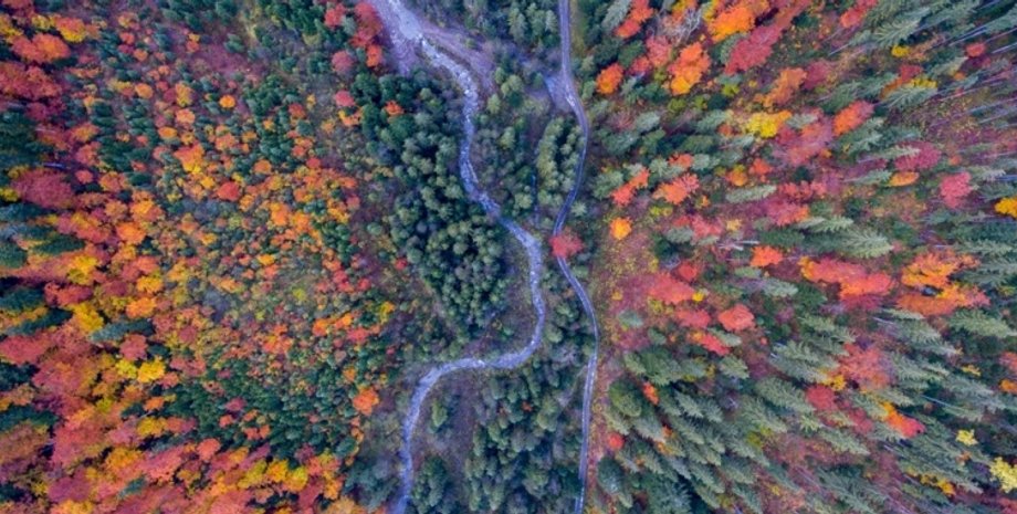 Фото: ukranews.com