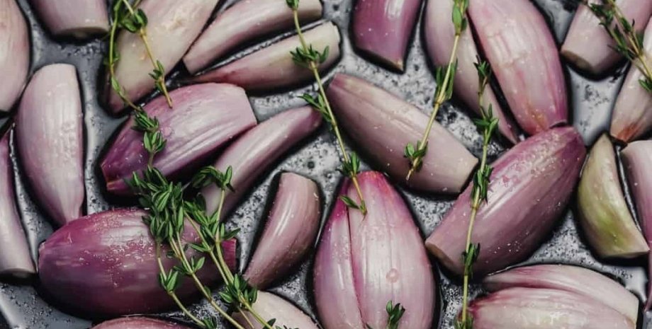 цибуля шалот цибуля шалот, шалот, цибулини