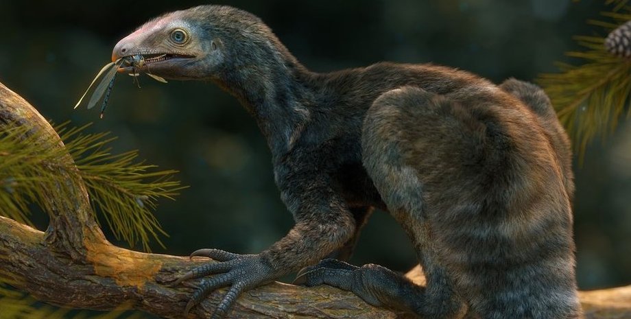 рептилія, стародавня рептилія