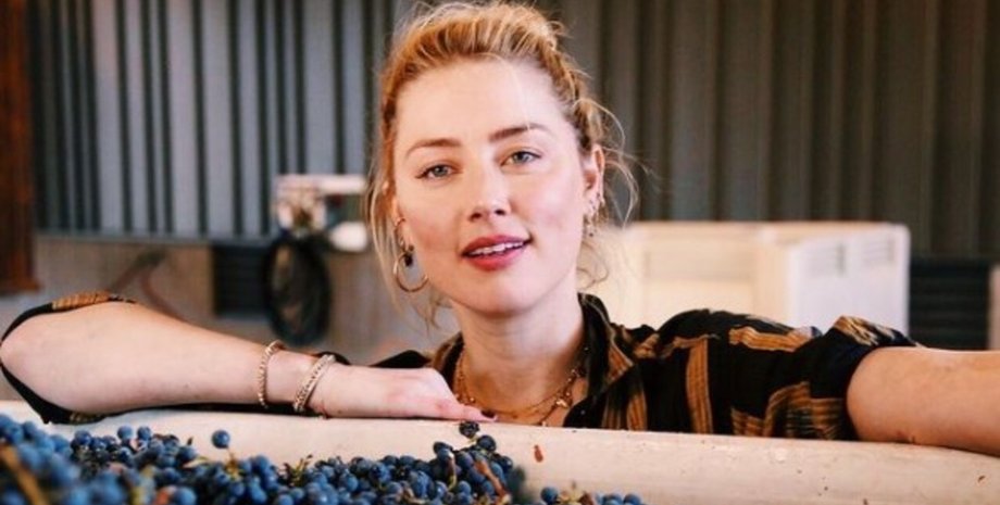 эмбер херд, илон маск, твиттер, аккаунт в твиттер, бывшая девушка маска, Twitter