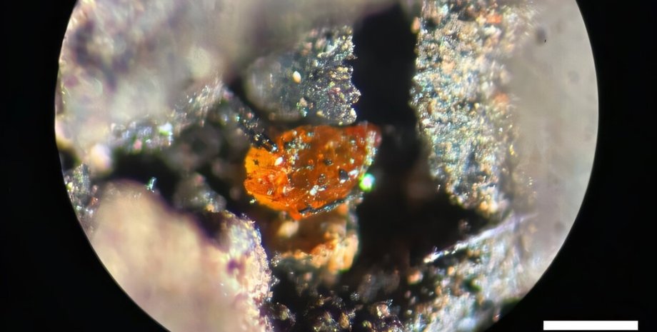 янтарь, антарктика