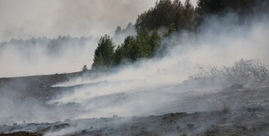 Фото: ГУ МЧС в Киевской области