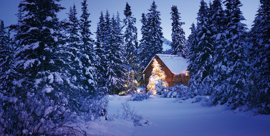 Фото: Getty Images