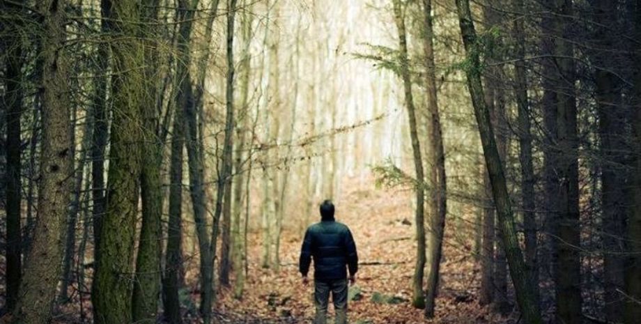 Находка в лесу, странные случаи из жизни, невероятные истории, курьезы, фото, США, могильник