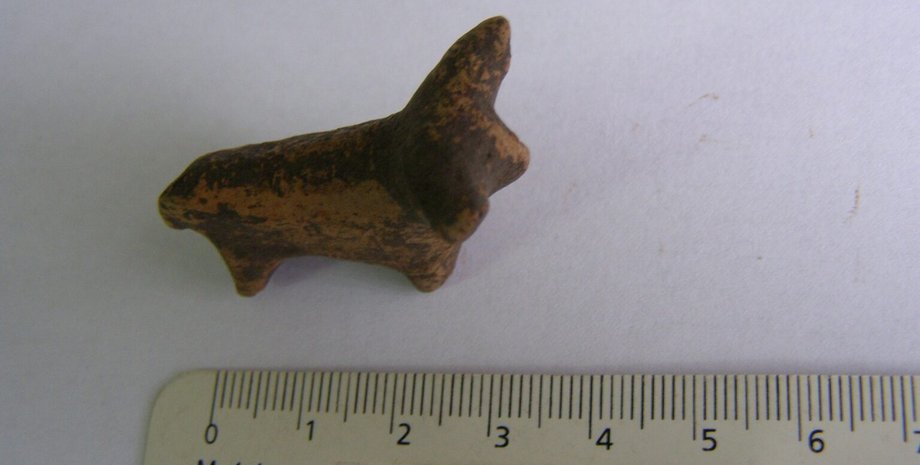 Артефакт знайшли поблизу Галича