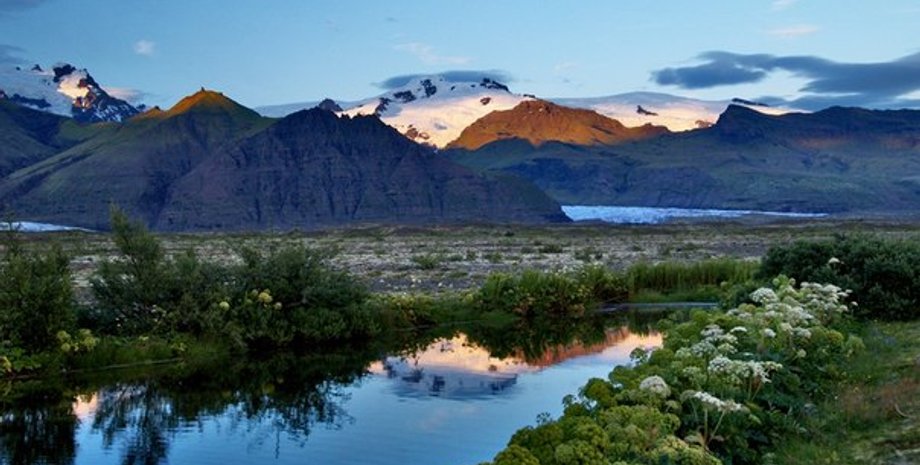 Фото: Мировед