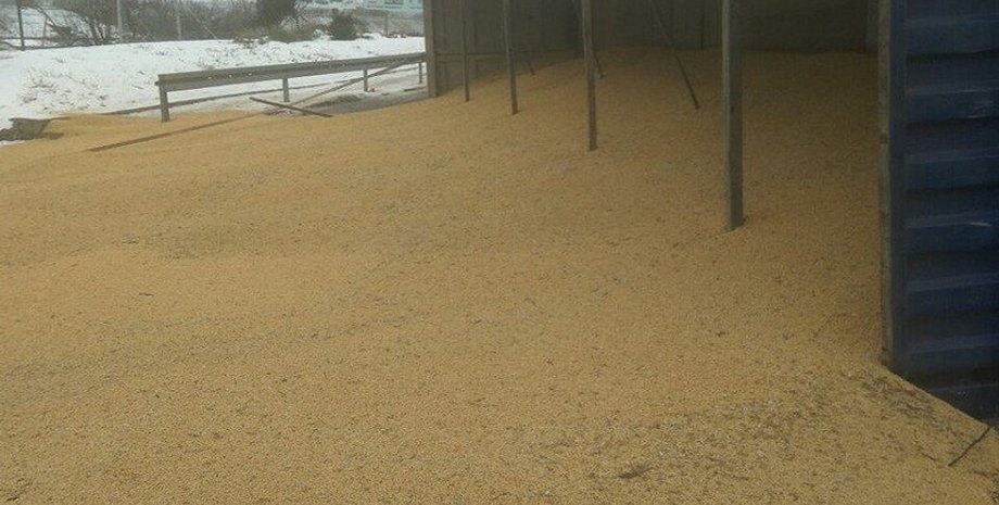 Фото: Новостей-N