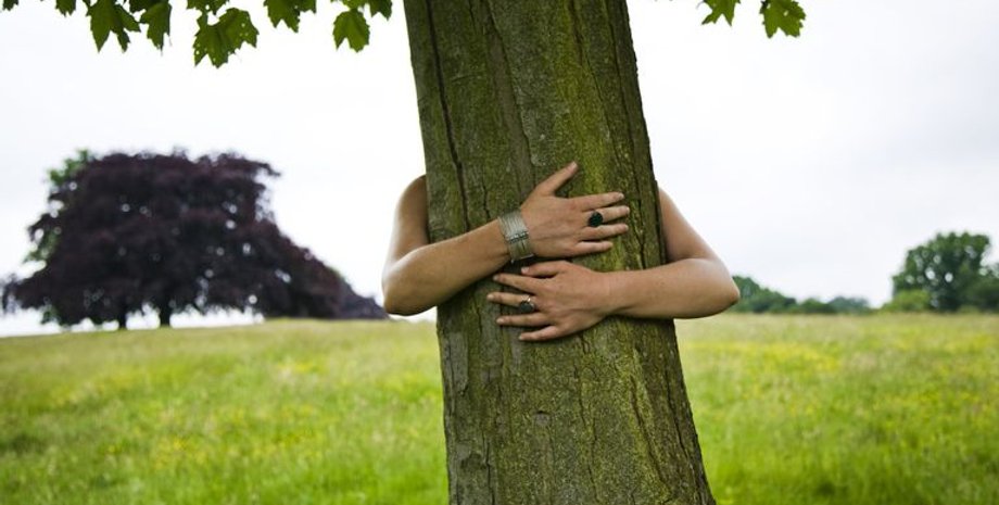 Фото: forestry england