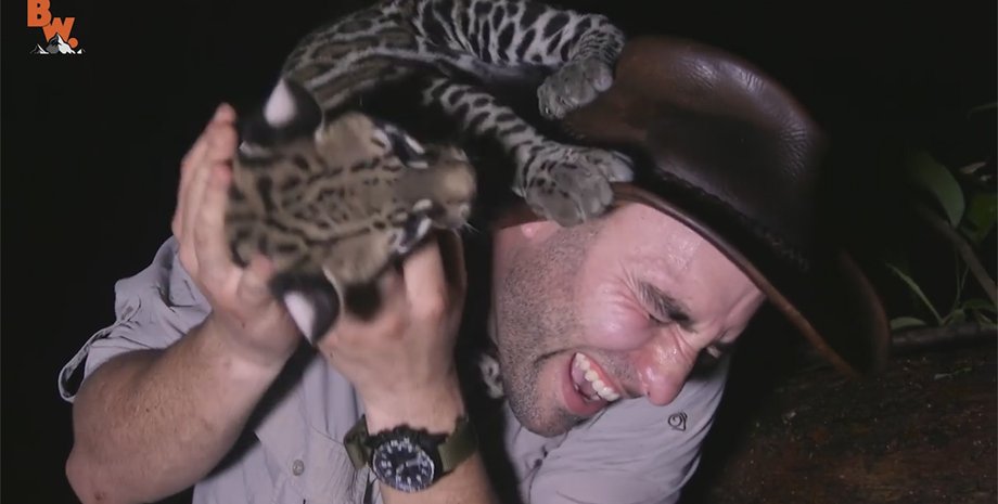 Скриншот видео