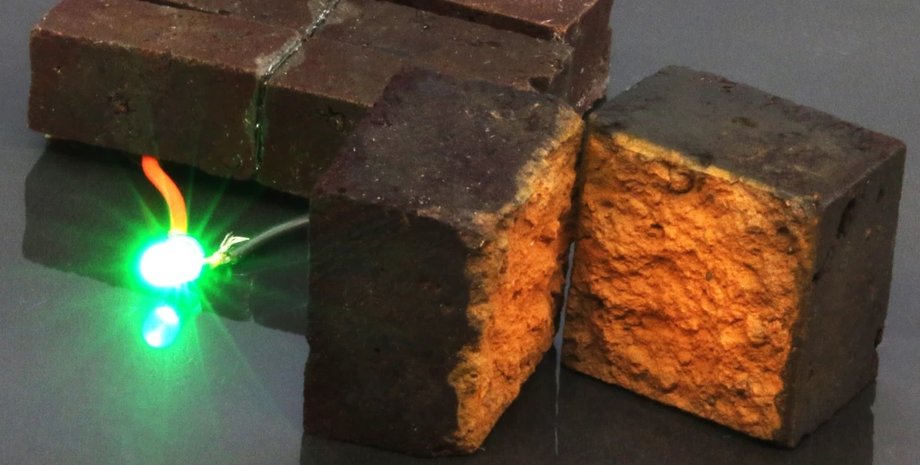 Фото: Washington University in St. Louis