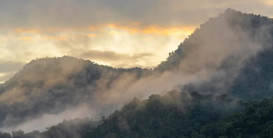 Амазонка загублене місто