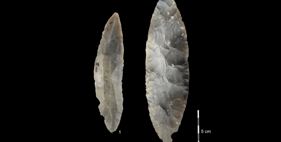 кости, останки, Германия, фрагмент, ДНК, ученые, история, наука, исследования, неандертальцы, люди, вытеснение, сосуществование, взаимодействие, инструменты, мобильность, открытие, Homo Sapiens
