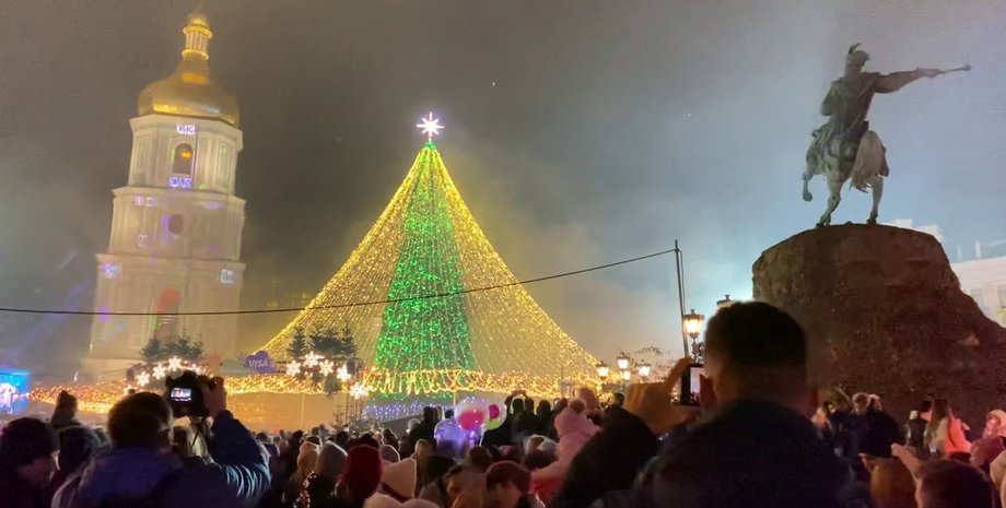 новый год, елка, киев, демонтаж, демонтаж елки