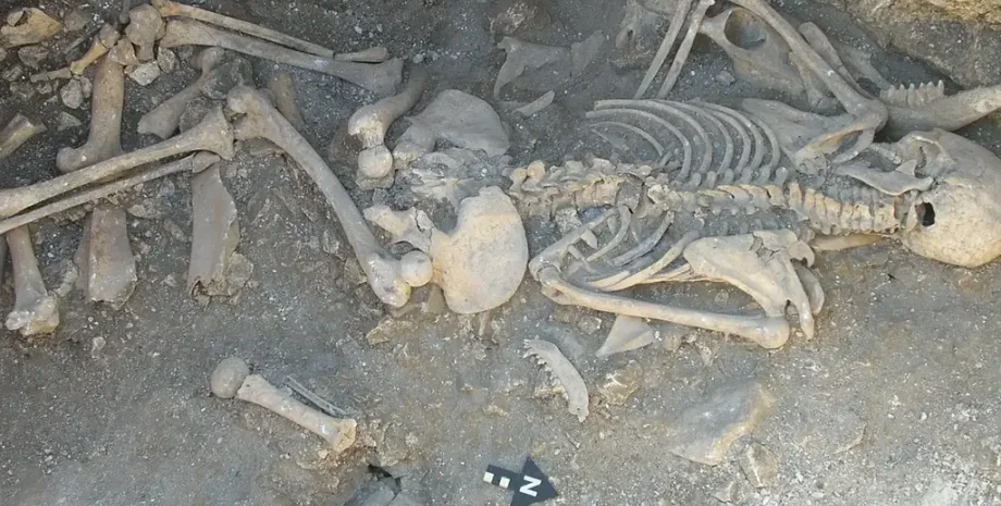 життя, жінка, залізний вік, жертвоприношення, кістки, поховання, людина, Англія, Британія, хребет, археологія, археологи, Дорсет