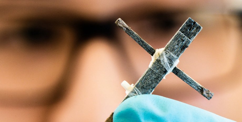 WECT, деревянный транзистор, транзистор из дерева