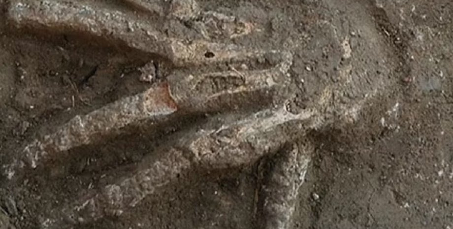 отрубленная рука