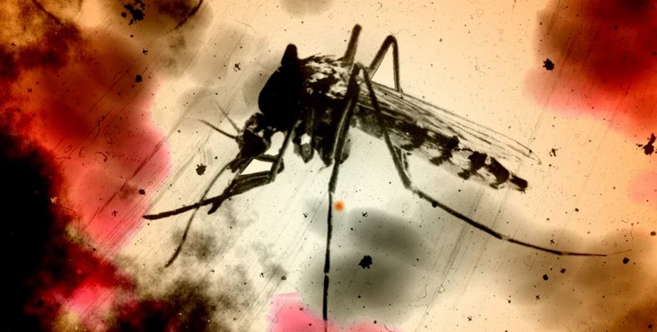 малярийный комар, малярия, вакцина