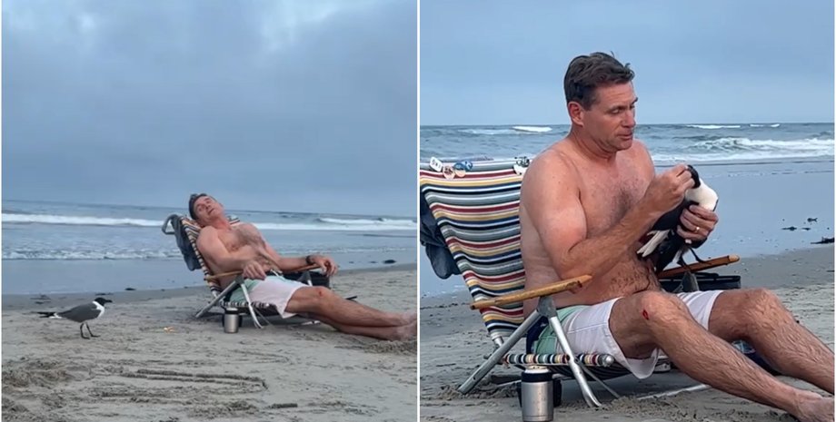 Чоловік прикинувся сплячим і зміг впіймати голіруч чайку: далі сталося неочікуване