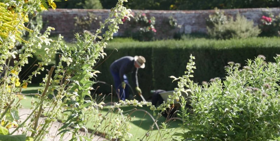 Мужчина нашел забытое подземное строение, о котором никто не знал