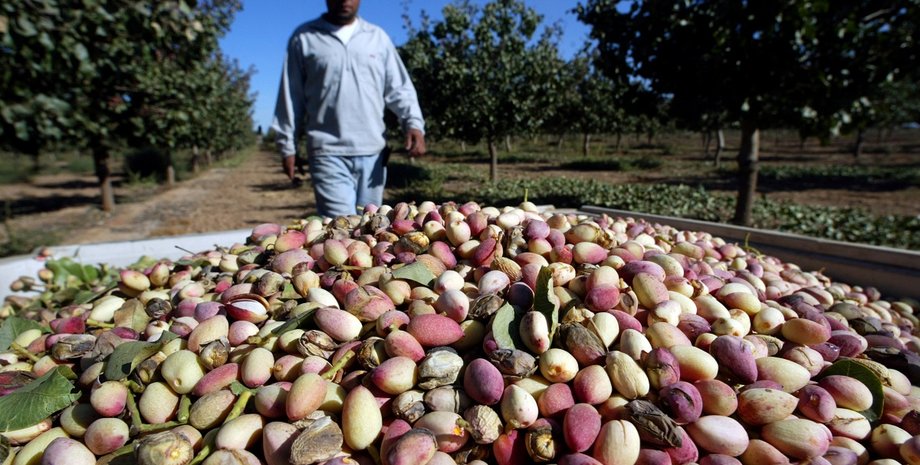 фісташки, сша, дубайський шоколад, TikTok