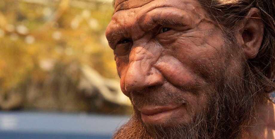 Неандерталец, древний человек, виды человека