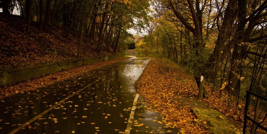 осень, дождь, дорога