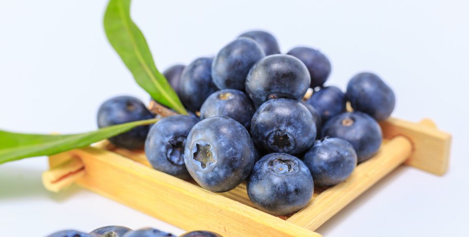 Голубика на подставке