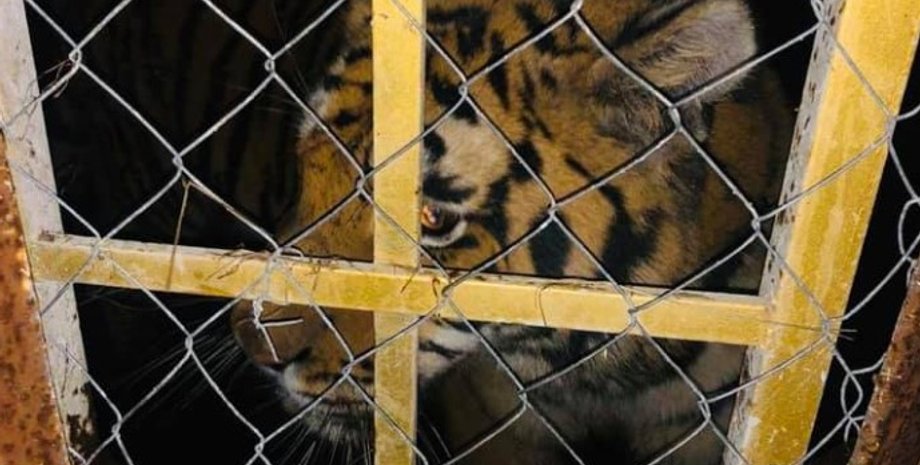 Фото: facebook/UA.KyivPolice