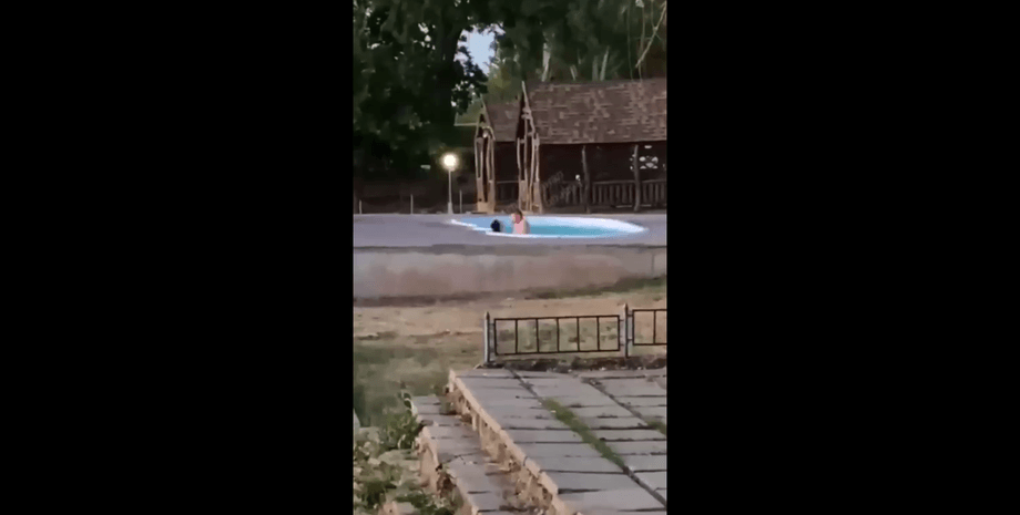 Николаев полицейские скандал Соловьев отстранение расследование база отдыха