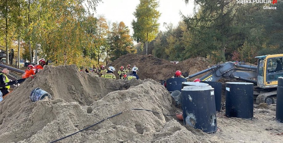 польша, работа