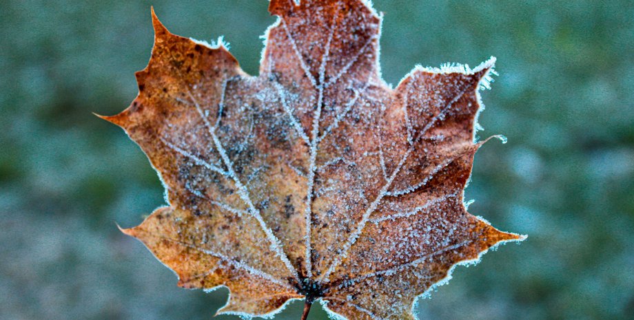 "Бажано бігом": Діденко попередила про негоду і закликала водіїв міняти гуму (мапа)